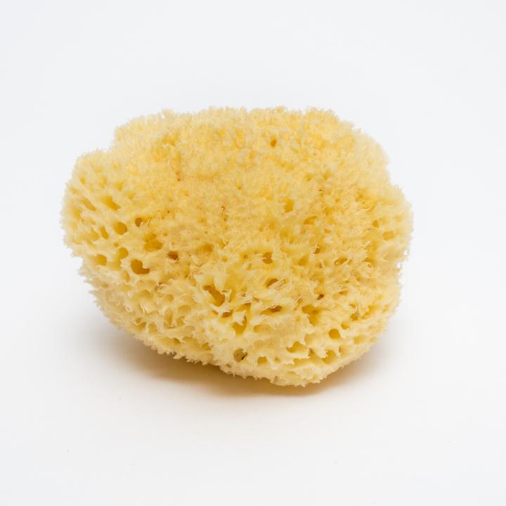 Immagine prodotto Bellini Spugna di mare media