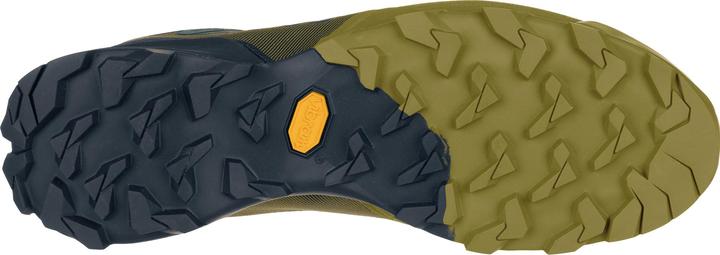 Actual product image Dynafit Transalper GTX running shoe (44)