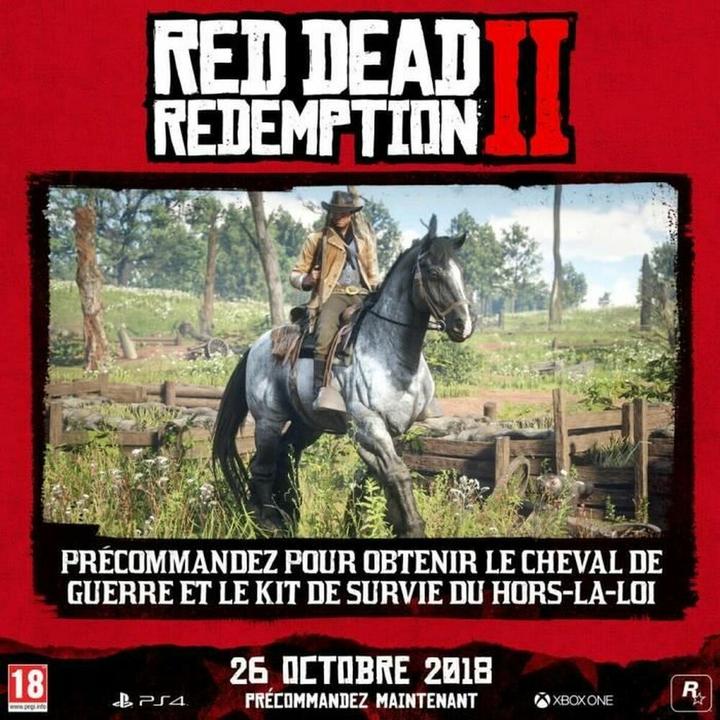 Image du produit 2K Games Red Dead Redemption 2 (PS4, FR)