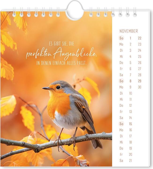 Produktbild Postkartenkalender 2026 Lichtblicke (16 x 17 cm, Deutsch)