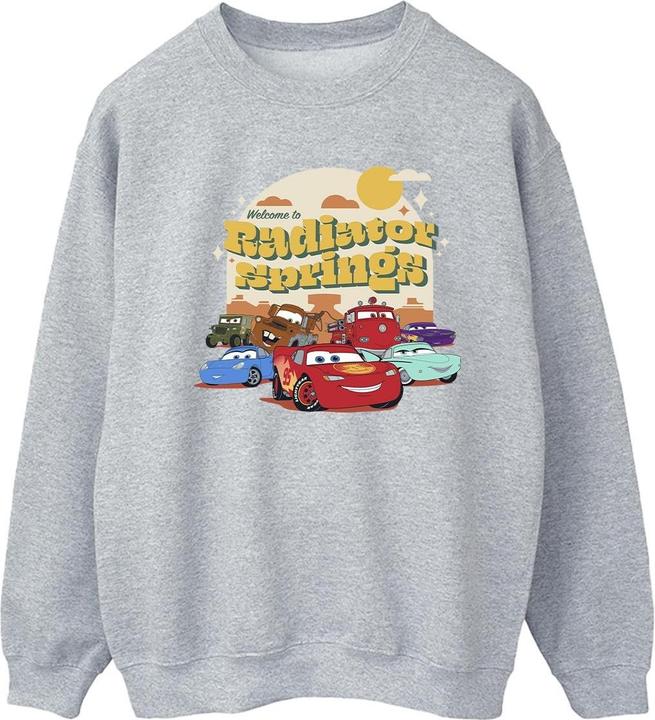 Produktbild Disney Cars Radiator Springs Group Sweatshirt (XL)