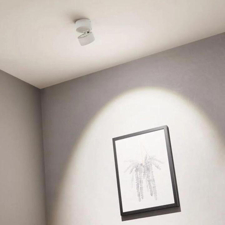 Image du produit Paulmann Lampe à monter Spircle Set (780 lm)