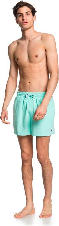 Actual product image Quiksilver Everyday Volleys (M)