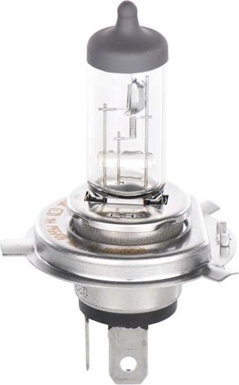 Image du produit Bosch Home & Garden GLL H4 Plus50