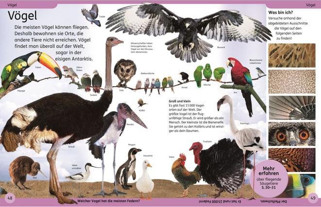 Produktbild DK Kinderlexikon Tiere (Deutsch, DK Verlag - Kids, 2023)