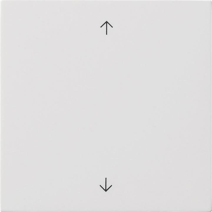 Gira S3000 Operating top. Arrows surface switch 5361112