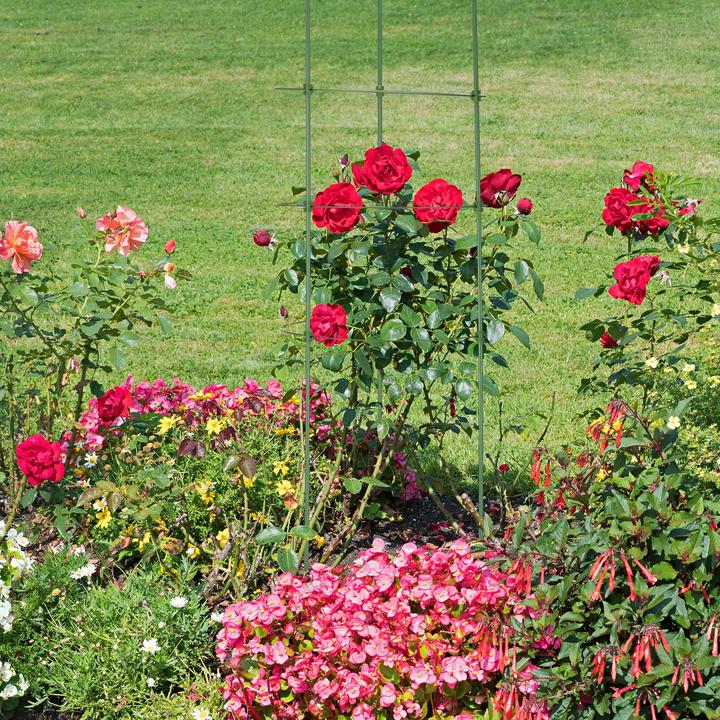 Produktbild Relaxdays 4x Mehrfachhosenbügel (1 x)