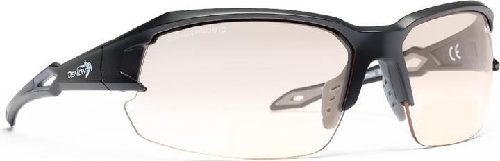 Actual product image Demon Tiger Photochromic (Matt Black Grey-Smoke, Matt Black Grey-Smoke)
