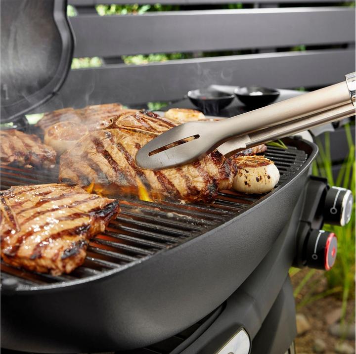 Actual product image Weber Q3200N+ (6.44 kW)
