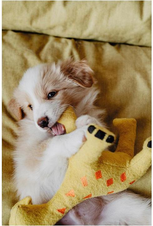Actual product image Hunter Dog toy Eiby Giraffe (Plush toy dog)