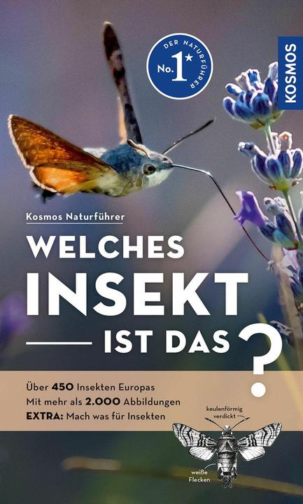 Actual product image Kosmos Welches Insekt ist das? (German, Heiko Bellman, 2024)