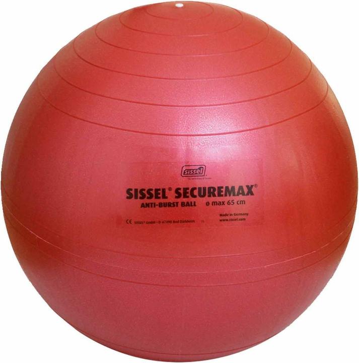 Actual product image Sissel Securemax (55 cm)
