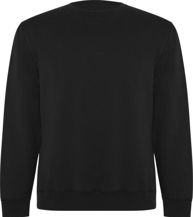 Alpinia Batian Sweatshirt Rundhalsausschnitt (L)