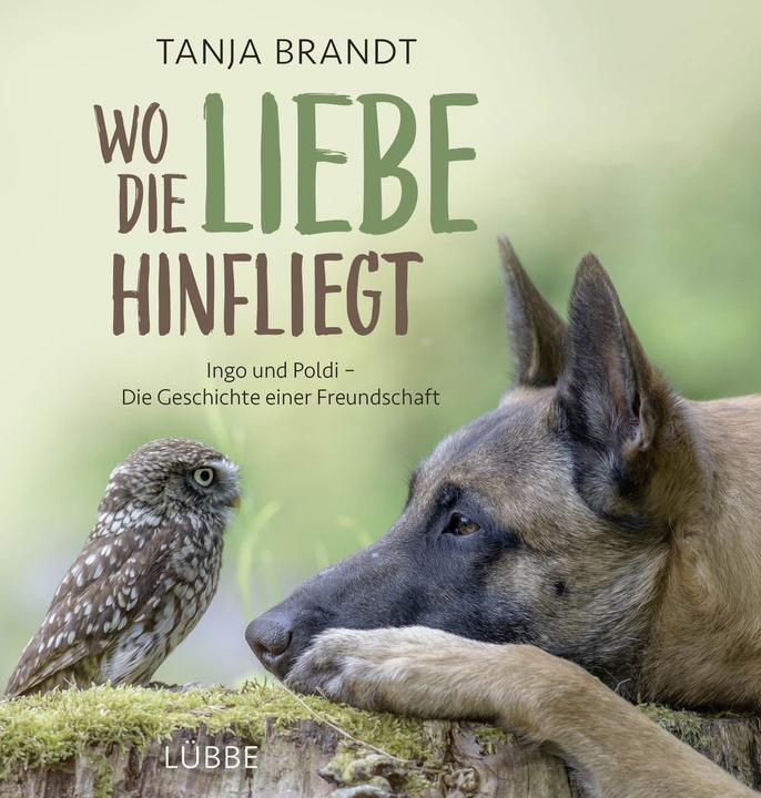 Produktbild Wo die Liebe hinfliegt (Deutsch, Tanja Brandt, 2016)
