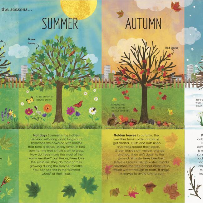 Produktbild RHS The Magic and Mystery of Trees (Englisch, Jen Green, Claire McElfatrick, 2019)