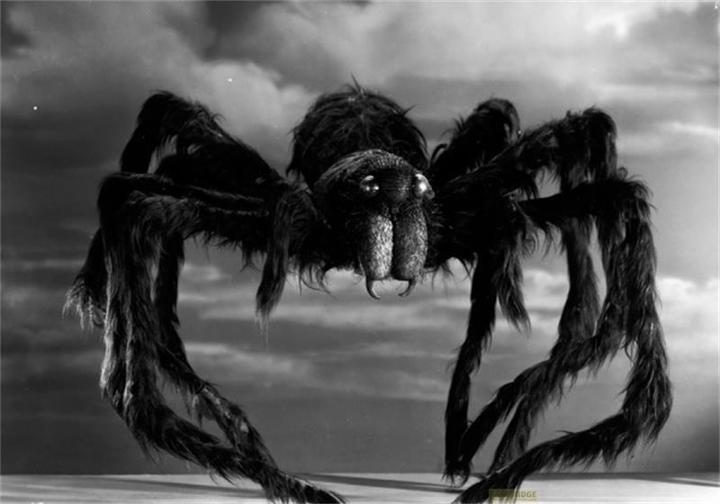 Produktbild Plaion Tarantula (Blu-ray, 2014, Deutsch)