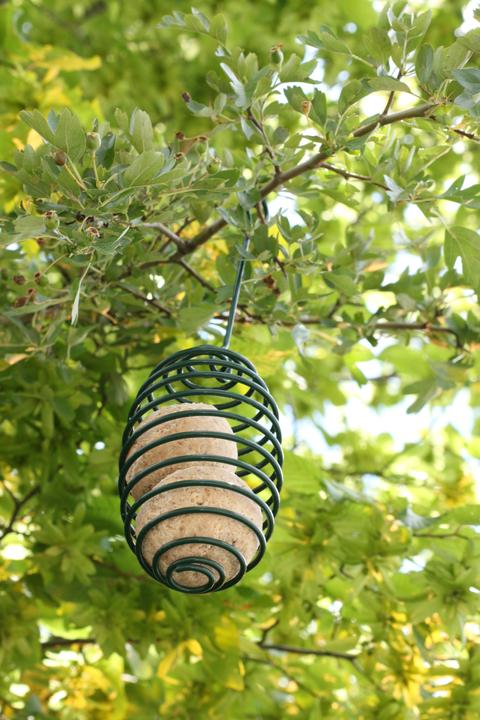 Produktbild Siena Garden Siena Meisenknödelkorb 26 cm aus Metall, grün