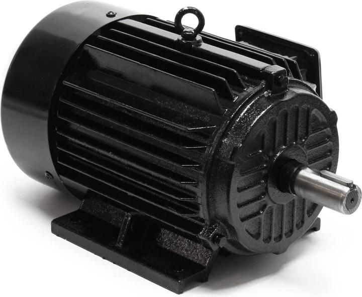 Wiltec Electric motor