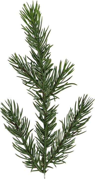 Produktbild Star Trading Malung (200 cm)