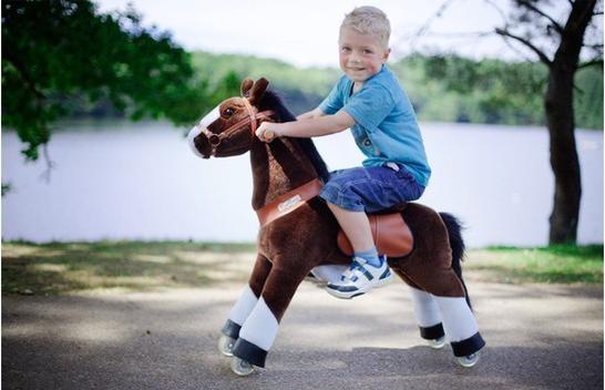 Actual product image PonyCycle Medium