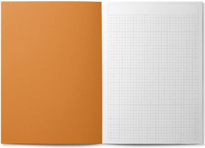 Immagine prodotto Cedon Opuscolo A5 PALSTEK (A5, Quadretti, Copertina rigida)