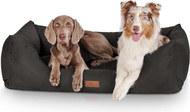 Produktbild Knuffelwuff Dreamline (Hund)