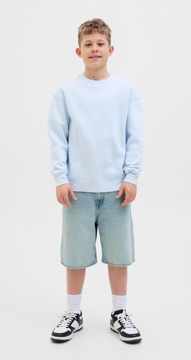 Actual product image Jack & Jones Printed sweatshirt junior sweatshirt (140)