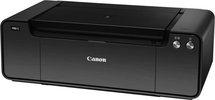 Actual product image Canon Pixma Pro-1 (Ink, Colour)