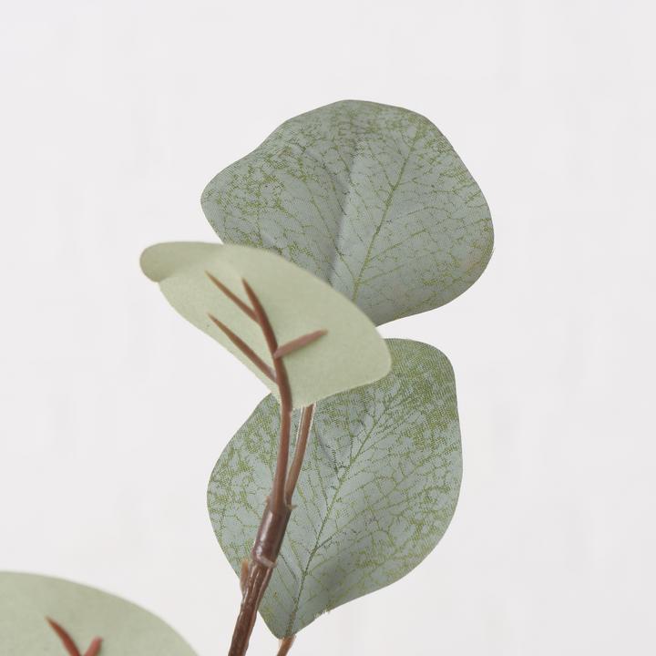 Actual product image Boltze Home Eucalyptus (69 cm)