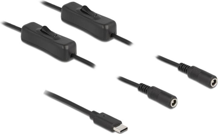 Immagine prodotto Delock 86800 Cavo adattatore USB Tipo-C 2 x DC 5,5 x 2,1 mm Nero (1 m)