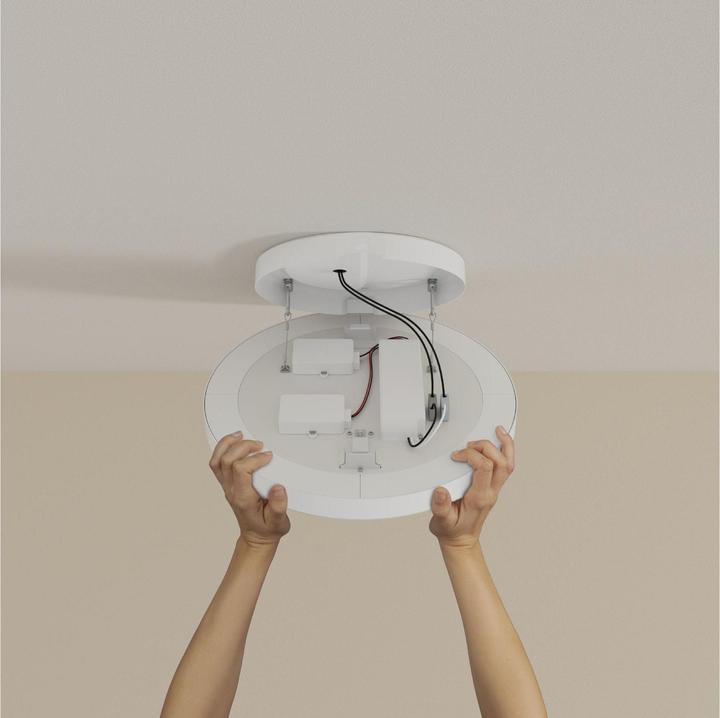 Immagine prodotto Philips Hue White & Color Ambiance Datura (4850 lm)