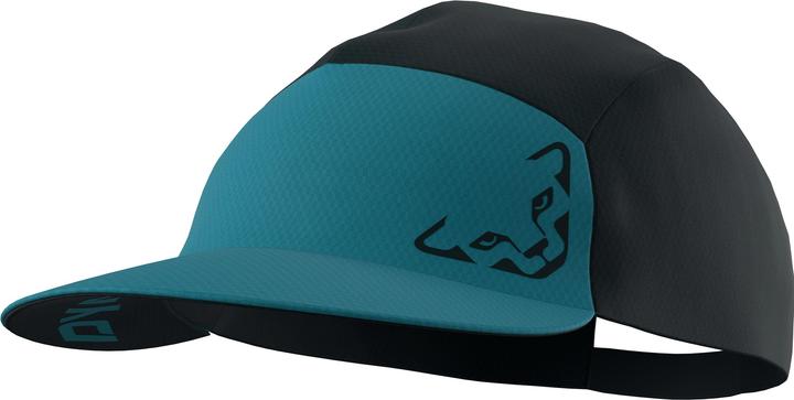 Dynafit Alpine Visor (58)