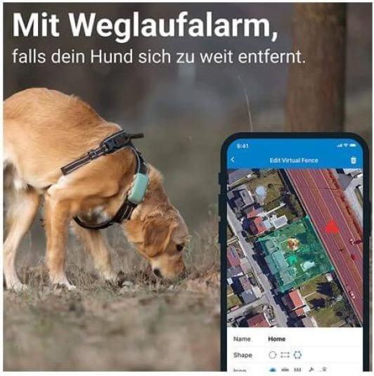 Immagine prodotto Tractive Cane GPS (XL, Cane, Passeggiare, Jogging, Sport cane)