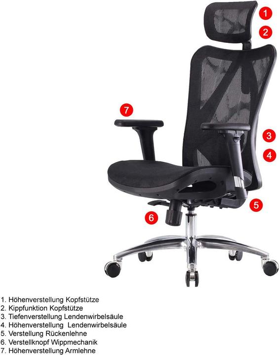 Actual product image Sihoo Office chair with lumbar support