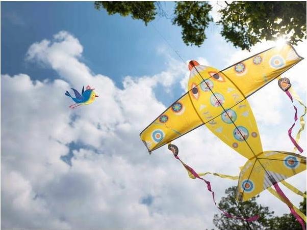 Produktbild Djeco Maxi Flugzeug