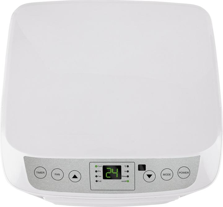 Actual product image Argo Swan Evo (7029.01 BTU/h)
