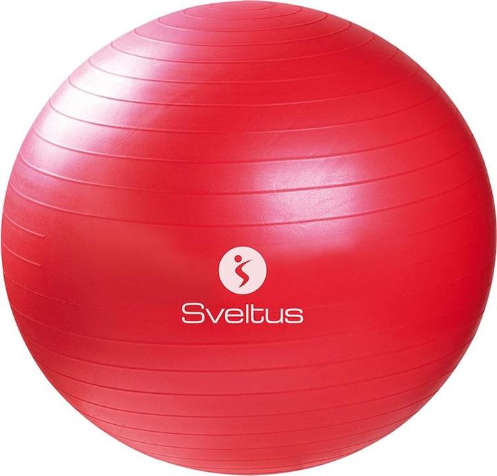 Gymnastikball (65 cm)