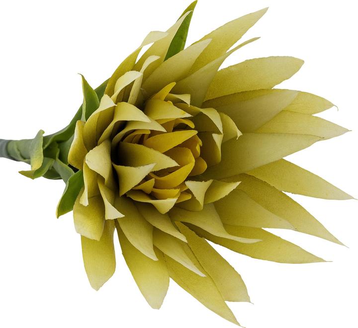 Actual product image Bloomingville Lily (76 cm)