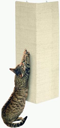 Sisal