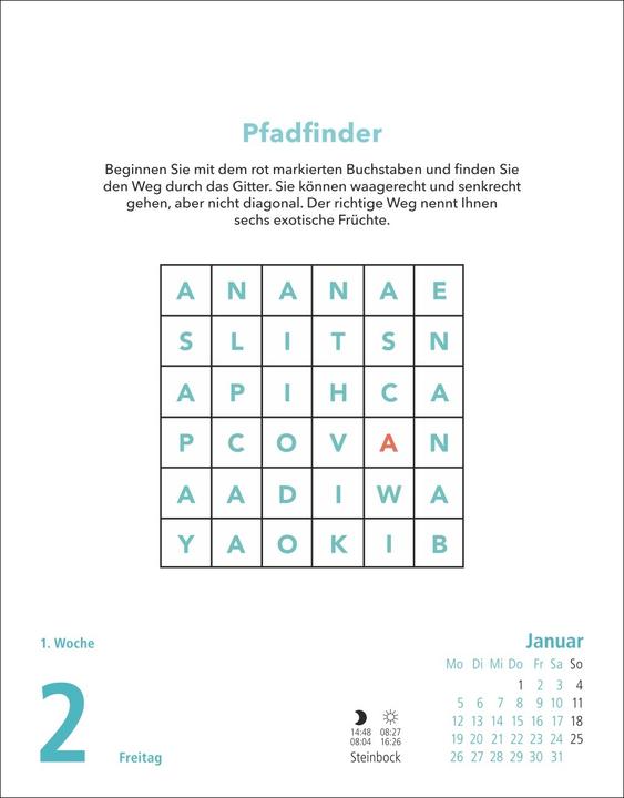 Actual product image Stefan Heine Gehirnjogging Tagesabreisskalender2026 (German)