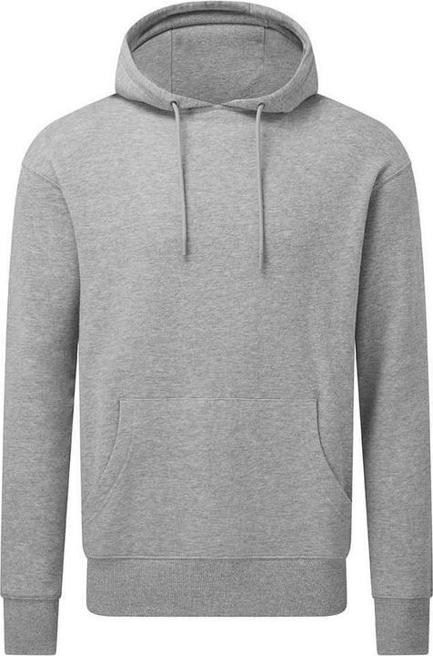 Image du produit Anthem - Sweat à capuche - Adulte (3XL)