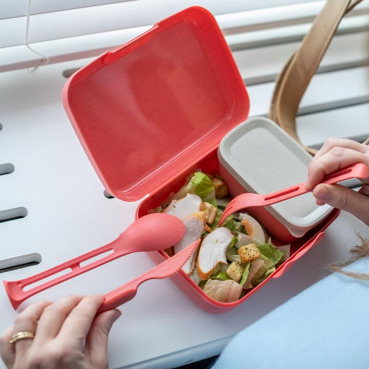 Actual product image Koziol Lunchbox Candy Set 4 pieces, Red