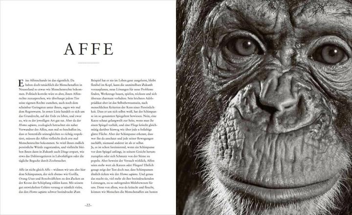 Produktbild Die Seele der Tiere. Gesichter. Gefühle. Geschichten (Deutsch, Sabine Remy-Schwabenthan, 2023)