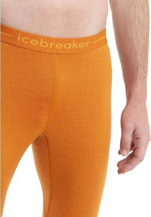 Actual product image Icebreaker ZoneKnit 260 (S)