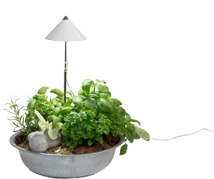 Image du produit Colibri SUNLiTE blanc (LED, 230 V)