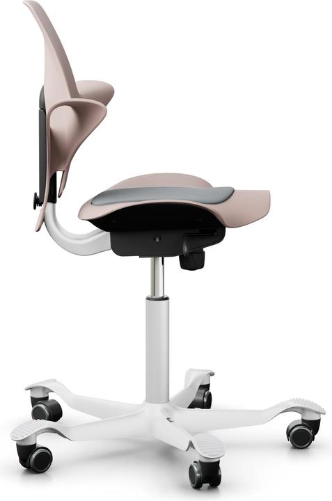Produktbild HAG Capisco Puls 8010