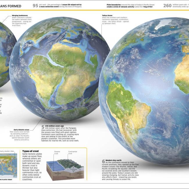 Actual product image Knowledge Encyclopedia Ocean! (English, Collectif, 2020)