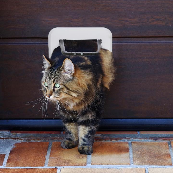 Immagine prodotto Relaxdays Sportello per animali domestici (Zanzariera magnetica per gatti)