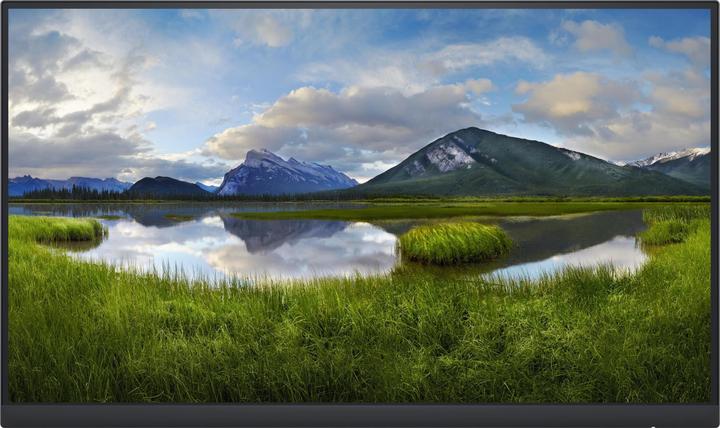 Immagine prodotto Dell P2222H (1920 x 1080 pixel, 21.50")