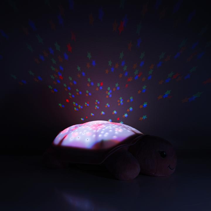 Image du produit Cloud B CLOUD'B-7323-2W1 NIGHT LIGHT POSTORY Turtle Pink